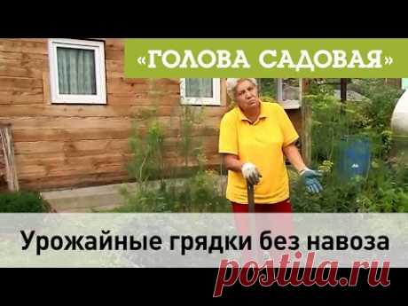 Голова садовая - Урожайные грядки без навоза