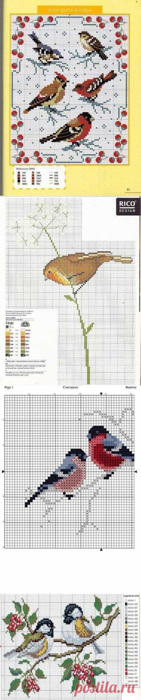 Схема вышивки птицы. Вышивка крестом схемы птицы | Домоводство для всей семьи
