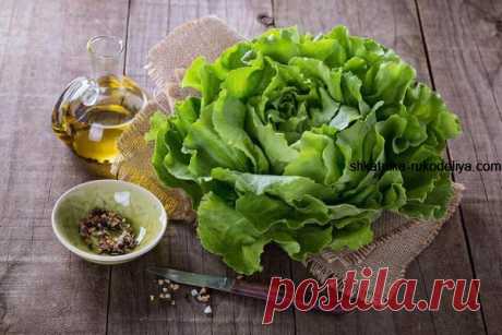 Зеленый салат в рецептах красоты Весной, пользуясь натуральной косметикой, для ее приготовления обязательно нужно использовать листья салата. Этот зеленый овощ&…