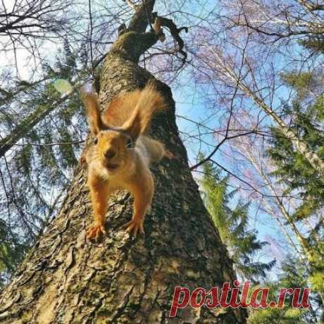 Доброе утро, Ульяновск!
Прекрасного дня вам желаем!