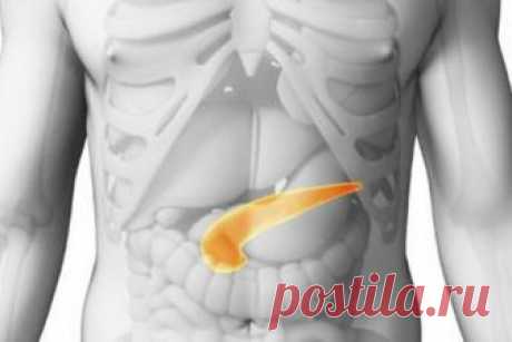 Как болит поджелудочная железа и 4 народных рецепта от панкреатита — Лепрекон