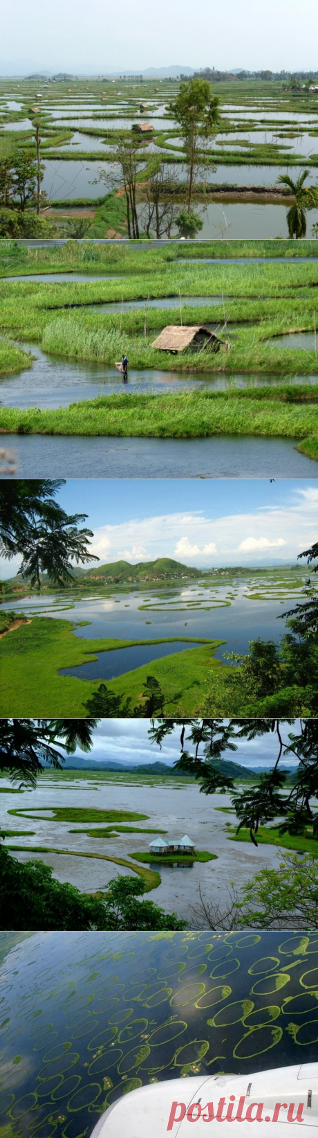 Жемчужина Индии — «плавающее озеро» Локтак / Туристический спутник