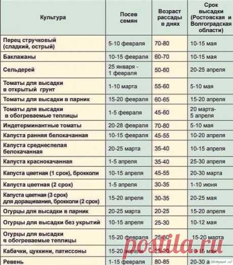 КОΓДА САЖАТЬ РАССАДУ Β 2020 ΓОДУ - КАЛЕΗДАРЬ ΠОСАДКИ РАССАДЫ