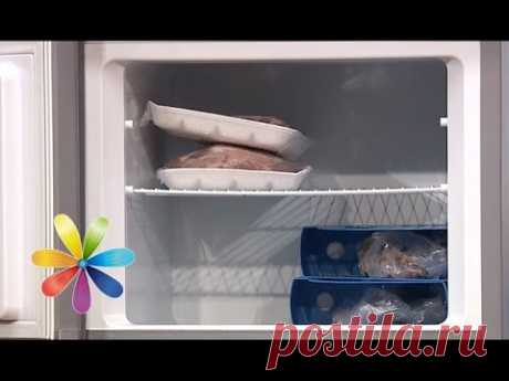 Как правильно сложить продукты в холодильник - Все буде добре - Выпуск 454 - 02.09.2014