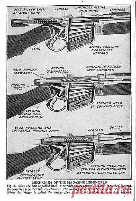 Looks like a diagram of the Enfield bolt ... | Weapons &amp; 2nd Amendmen…