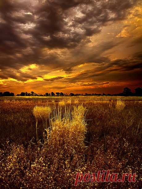 coiour-my-world:
“ Continuance by Phil~Koch on Flickr.
”