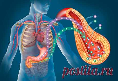 Гормоны поджелудочной железы