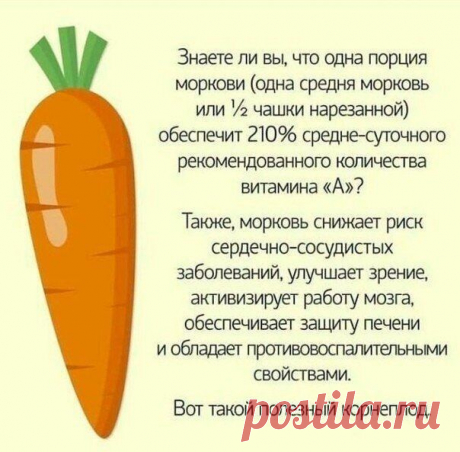 Польза одной морковки в день: