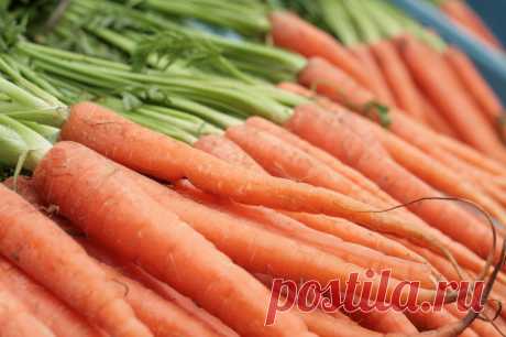 Как посеять морковь под зиму? Когда и как сажать морковку осенью? - Ботаничка.ru