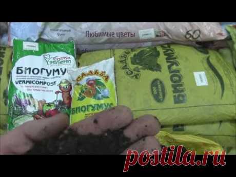 Вермикомпост (Биогумус)- как его использовать в цветоводстве и вырщивании рассады