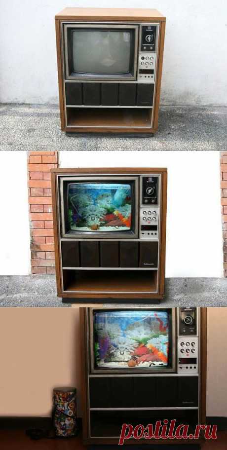 Old TV Turned into Awesome Aquarium (20 Photos) | FunCage