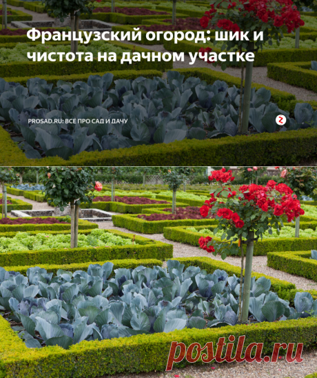 Французский огород: шик и чистота на дачном участке | Prosad.ru: Все про сад и дачу | Яндекс Дзен