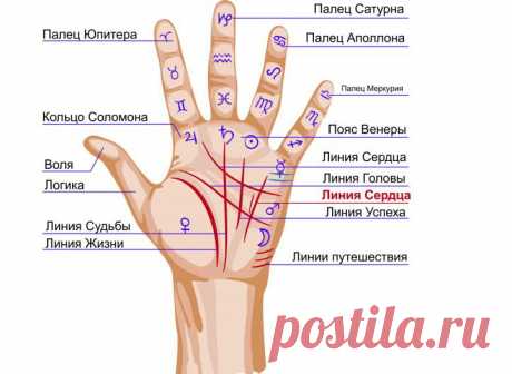 Линия жизни раздваивается на две ветви — что это обозначает