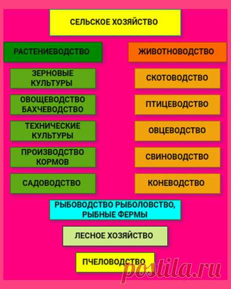 Сельское хозяйство: что это и почему оно так важно &amp;#8212; Agro-Info