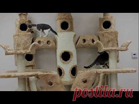 Buckingham Palace Cat Tree by Kitty Mansions - YouTube