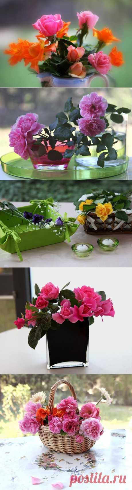 Красивые цветы в вазах и корзинах | Newpix.ru - позитивный интернет-журнал