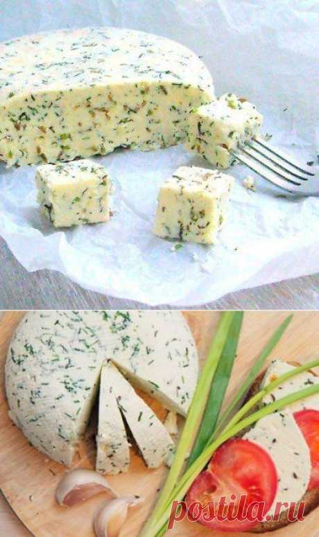 Как приготовить домашний сыр с тмином и зеленым луком - рецепт, ингридиенты и фотографии