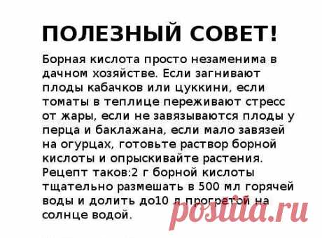 Новости