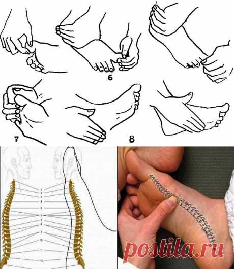 Как с помощью массажа стопы избавиться от боли в спине | Новости медицины и здоровья на Обозревателе