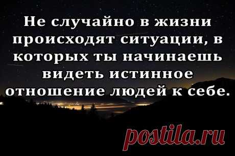 мудрые мысли о жизни: 2 тыс изображений найдено в Яндекс.Картинках