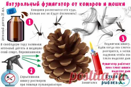 Натуральный фумигатор от комаров и мошки | Кухня рыбака | Яндекс Дзен