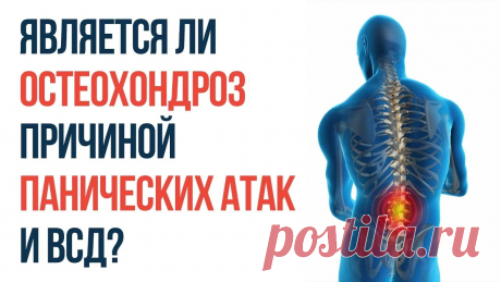 панические атаки и шейный остеохондроз: 7 тыс изображений найдено в Яндекс.Картинках