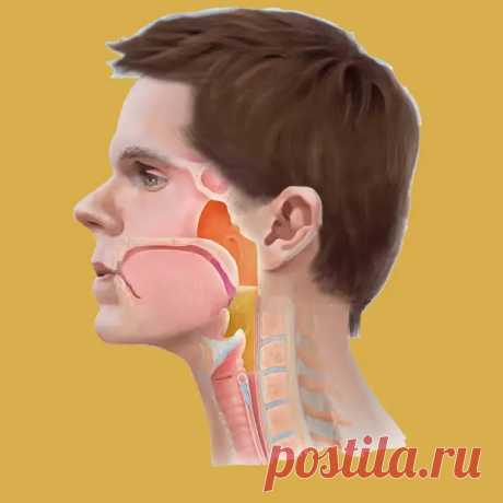 (58) Эта гимнастика для шеи творит чудеса - ПолонСил.ру - социальная сеть здоровья - 4 ноября - 43456128627 - Медиаплатформа МирТесен