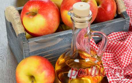 Польза и вред яблочного уксуса для организма. Как его принимать | Полезные советы