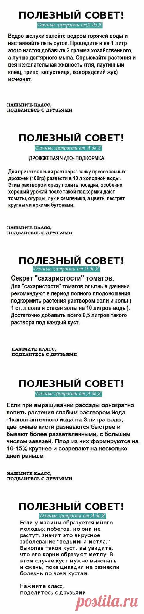 Одноклассники