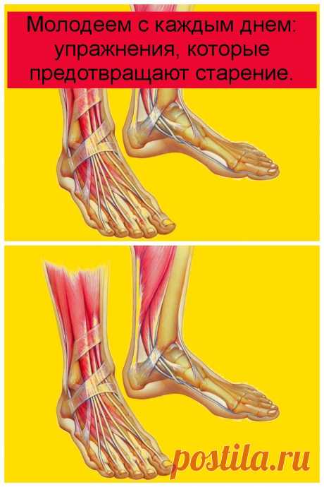 Молодеем с каждым днем: упражнения, которые предотвращают старение.