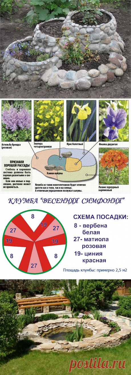 Клумбы из многолетних цветов. | Самоцветик