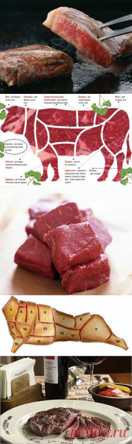 Как выбрать мясо на базаре и в супермаркете | 4vkusa.ru