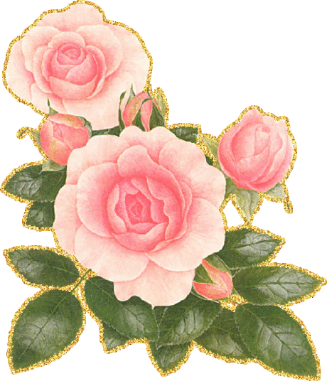 Картинки и фотографии розовых роз
