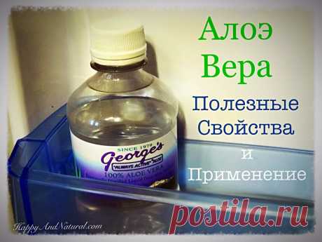 Алоэ Вера - полезные свойства и применение - Happy & Natural