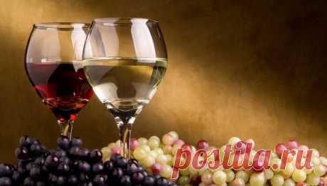Бокал вина для здоровья — Делимся советами