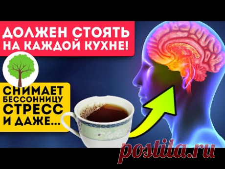 Запуск скрытых резервов! Даже одна чашка этого чая творит чудеса с организмом!