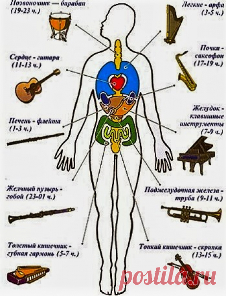САКСАФОН ПОЧКИ, желудок-..... - Р.Блаво. Как происходит лечебное воздействие музыки.