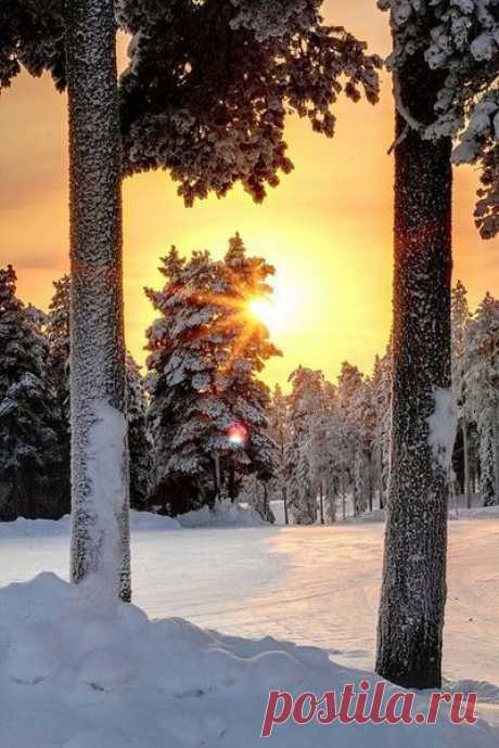 Winter beauty..... | I love snow