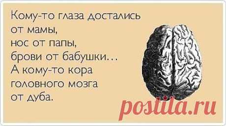 Кому-то глаза достались от мамы...