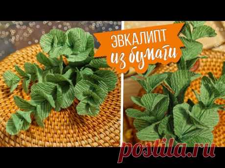 🌿 Эвкалипт из гофрированной бумаги своими руками (мастер-класс) / DIY Как сделать веточки Эвкалипта