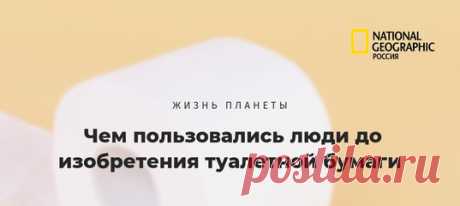 Чем только не пользовались жители древних времен после посещения уборной до того, как изобрели спасительную туалетную бумагу. Но есть и совсем эффектные варианты (хотя вряд ли эффективные) 💩