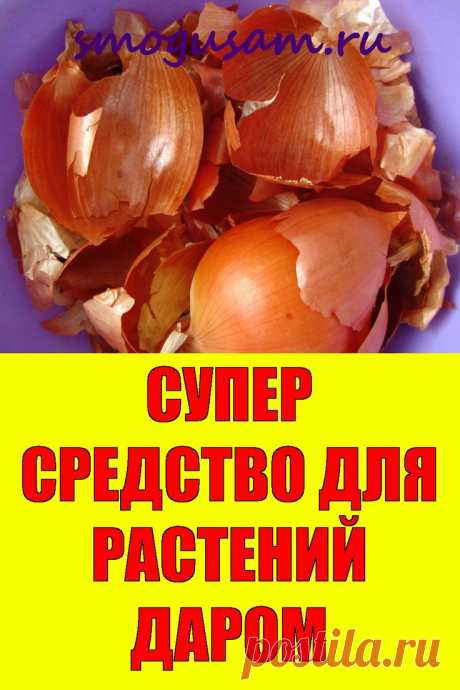 📌ЛУКОВАЯ ШЕЛУХА СУПЕР СРЕДСТВО ДЛЯ ОГОРОДА! ЭТО НАДО ЗНАТЬ!🧅🧅 Не выбрасывайте 🧅 i 2024