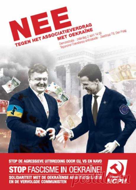 В Голландии распространяют листовки, на которых Порошенко олицетворяет фашизм на Украине (ФОТО) | Продолжение проекта &quot;Русская Весна&quot;