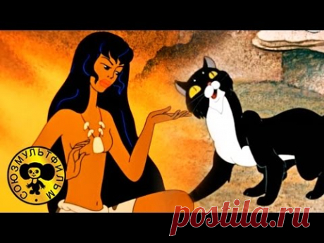 Кот, который гулял сам по себе | Советский мультфильм-сказка про древнего человека и животных