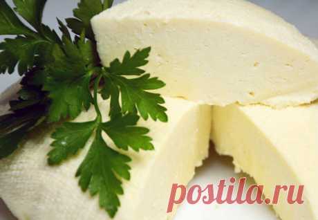 Домашний сыр за 10 минут: кипятим молоко и добавляем уксус