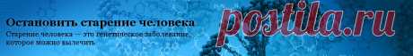 Остановить старение человека — Старение человека — это генетическое заболевание, которое можно отменить