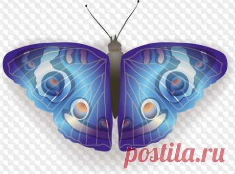 Mariposa clipart PNG y PSD (fondo transparente). transparente Imágenes PNG clipart Descargar.