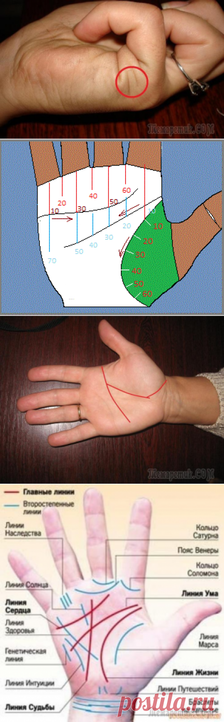 Хиромантия: обозначение линий на руке