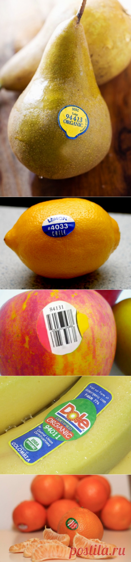 ​Знаете ли вы, что означают эти наклейки на фруктах? — Полезные советы