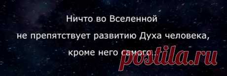 УРОВНИ ДУХОВНО-НРАВСТВЕННОГО РАЗВИТИЯ
Уровень развития нашего сознания и духовности напрямую связан с уровнем развития ядер сознания (чакр) в наших тонких энергетических телах. Поэтому, в зависимости от управляющей силы развития сознания, люди по своему духовно-нравственному развитию можно разделить на 3 вида:
Первый вид – «троичный человек», у которого открыты только низшие чакры (исток, зарод, живот или мулад-хара, свадхистана, манипура), а остальные не развиты (не актив...